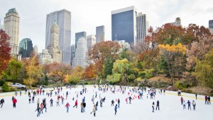NY ice skating